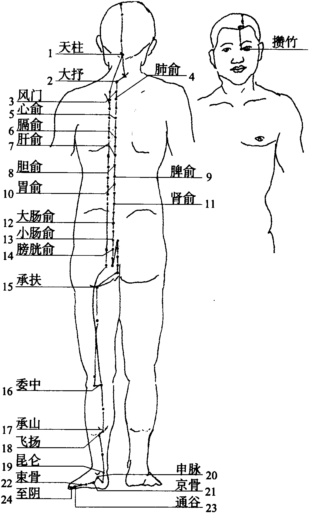 七、足太陽膀胱經(jīng)